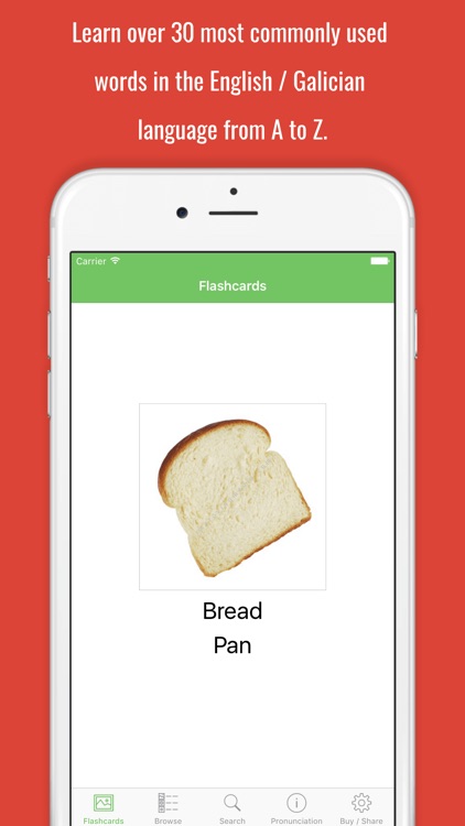 Galician Flashcards with Pictures Lite screenshot-4