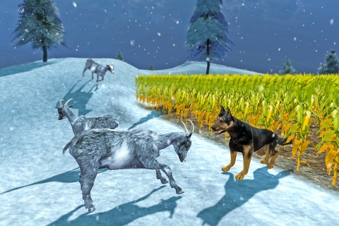 Arctic Shepherd Dog Simulator 2017 screenshot 3
