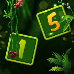 Sudoku Jungle