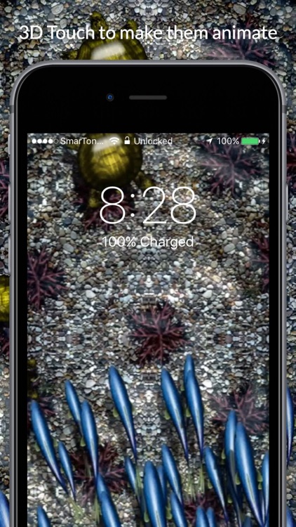 Koi Pond Live Wallpapers screenshot-3