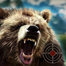 Activities of Black Bear Target Shooting