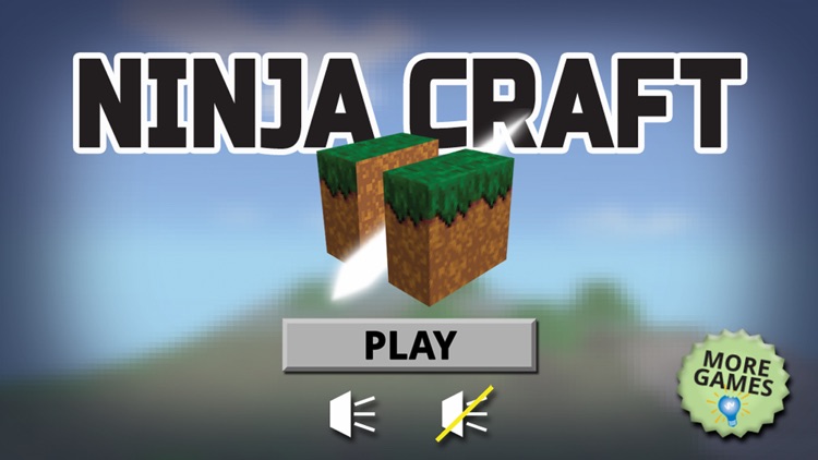 Ninja Craft - Slash The Flying Blocks