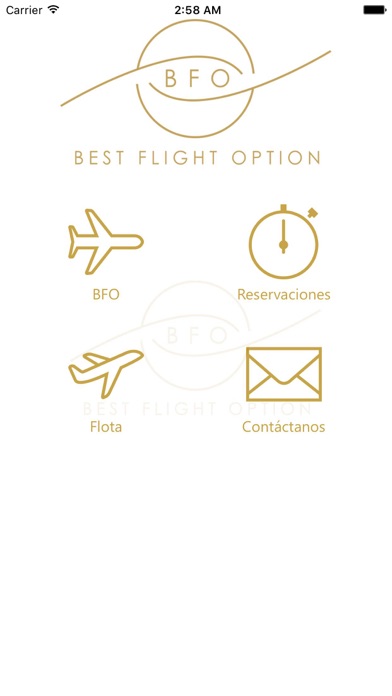 How to cancel & delete Best Flight Option from iphone & ipad 2