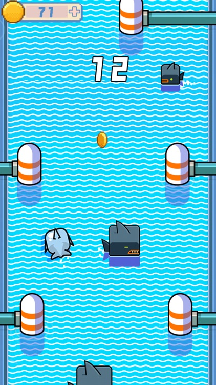 Dolphin Racing - Fish Bubble Adventure Game