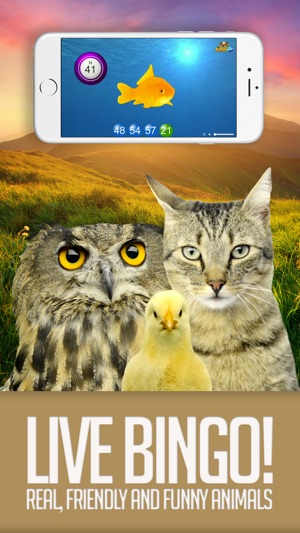 ANIMAL BINGO - Live Animal Bingo & Slots!(圖1)-速報App