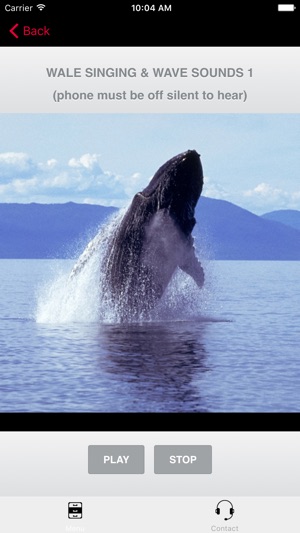 Humpback Whale Sounds!(圖3)-速報App