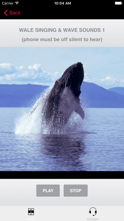Humpback Whale Sounds!