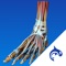 Foot Decide is a powerful educational tool