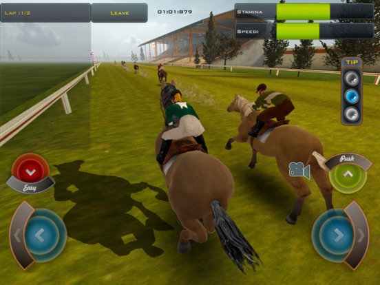 Race Horses Champions 2 для iPad