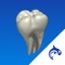 Dental Decide is a powerful educational tool