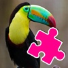 Puzzle Bird Jigsaw Games For Kids
