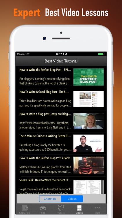 How to Write the Perfect Blog Post-Guide and Tips