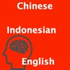 ChineseIndonesianEnglish Translator