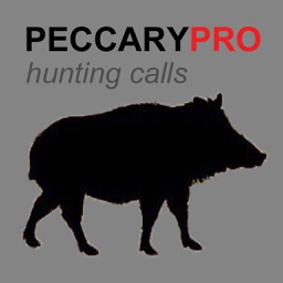 Peccary Calls and Peccary Sounds for Hunting
