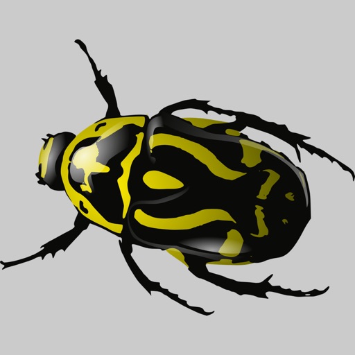 Beetle Solitaire iOS App