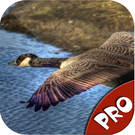 Easy Duck Hunting Calls Pro: Finest Hunting Call Icon