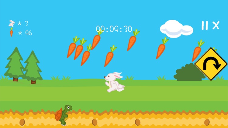 Tortoise & Hare - Race Game screenshot-3