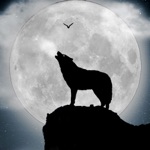 Werewolf Horror Wallpapers  Backgrounds