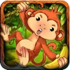 Monkey Run - Jungle Monkey