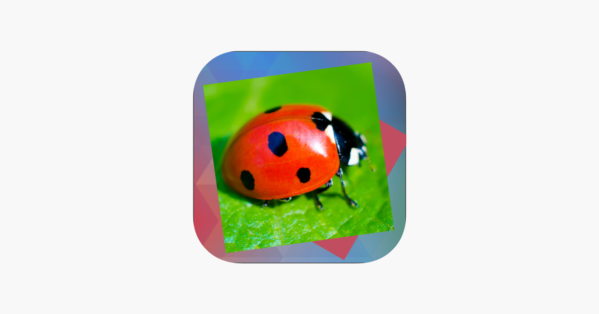 Déjà Vu dating app
