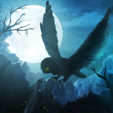 Activities of Owl's Midnight Journey - Light