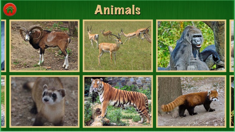 Animal Sounds Pro For Kids and Toddlers Education
