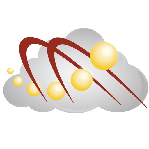 Survey Cloud Icon