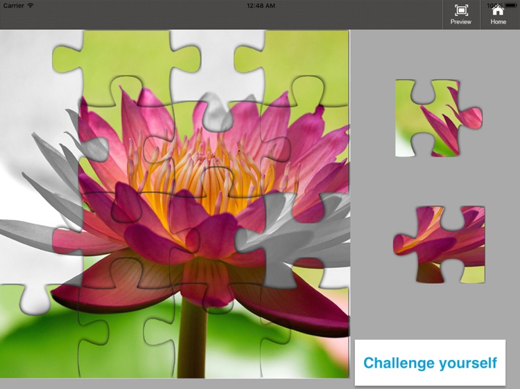 All Jigsaw Puzzles screenshot-4