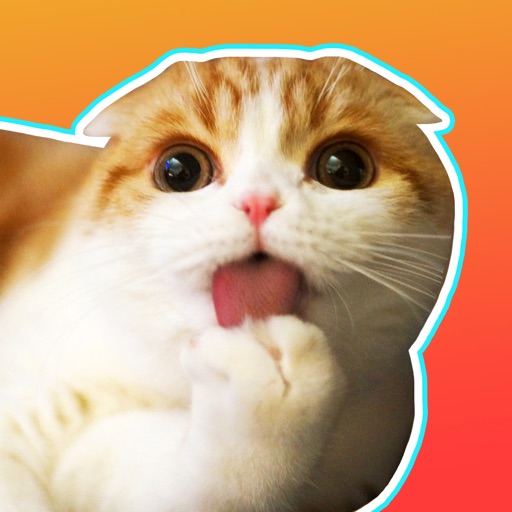 Waffles the Cat: Stickers Icon