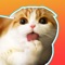 Waffles the Cat: Stickers