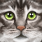 App Icon for Ultimate Cat Simulator App in Pakistan IOS App Store