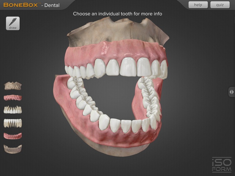 BoneBox™ - Dental Pro