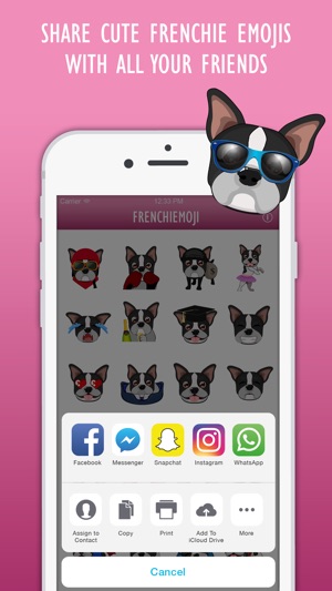 FrenchieMoji: French Bulldog Emojis(圖5)-速報App