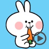 Cute Rabbit Animation