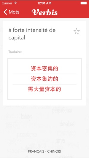 Verbis 中文-法国財務、金融及會計術語詞典(圖3)-速報App