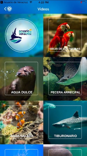 Acuario de Veracruz(圖2)-速報App