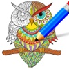 Doodle Coloring Book - Draw & Color
