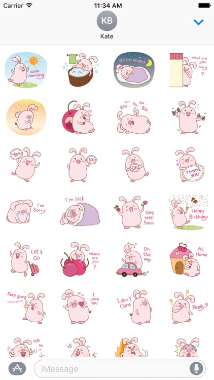 Pink Cute Rabbit Animated