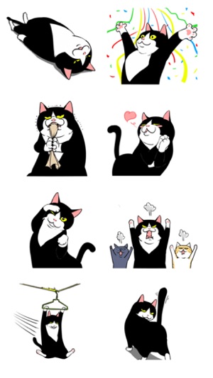 Playful Black Cat(圖1)-速報App