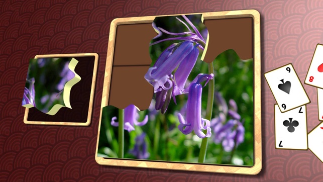 Jigsaw Solitaire Plants(圖4)-速報App