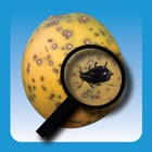 Top 46 Education Apps Like Protect U.S. Citrus Diseases and Pests - Best Alternatives