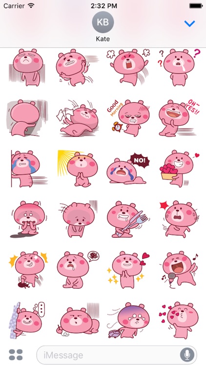 Sunny Bear screenshot-3