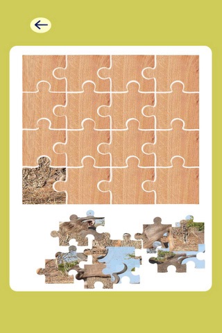 Happy Pet - Match 3 Puzzle Animals screenshot 2
