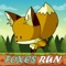 ABC Toddlers Learning Activities Foxes Animal Run