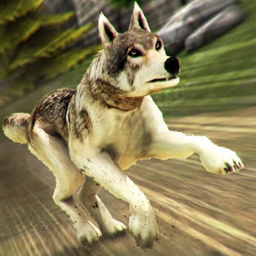 Wolf Simulator 2017 . Wolves Running Game vs Dogs Icon