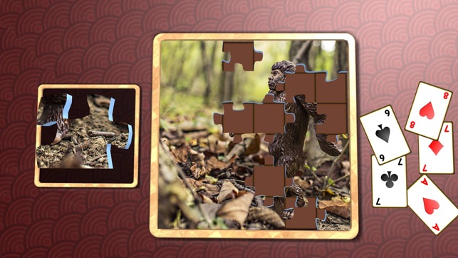 Jigsaw Solitaire Great Outdoors(圖2)-速報App