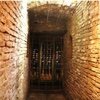 El Túnel Vinos
