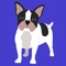 Finally a great personalised app for your French Bulldog