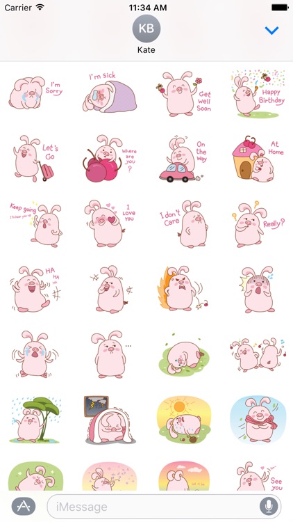 Pink Cute Rabbit Animated