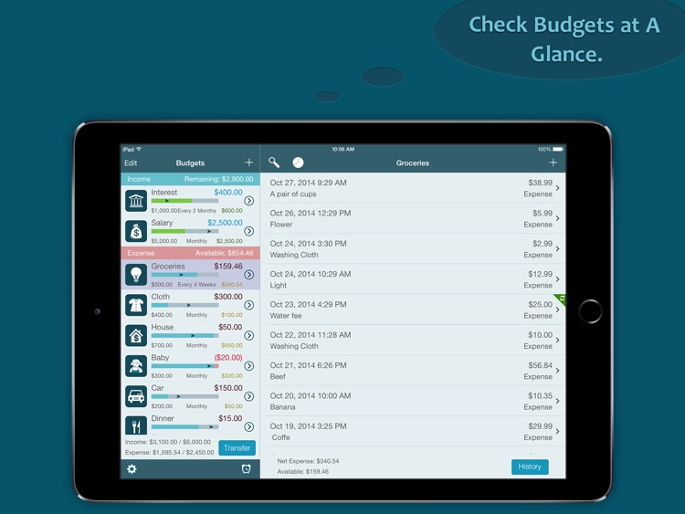Best Budget Pro for iPad - Control your Expense